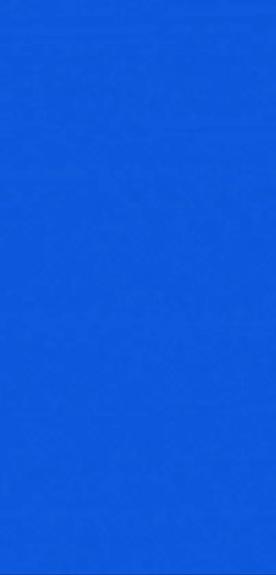 Bright blue wallpaper for mobile devices, perfect for minimalist styles.