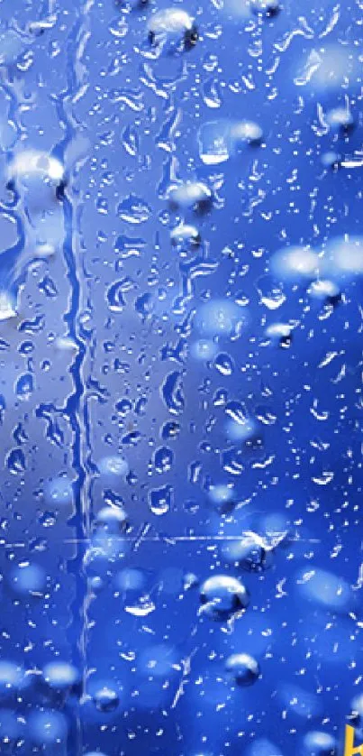 Vibrant blue wallpaper with raindrops creating a serene and dynamic effect.