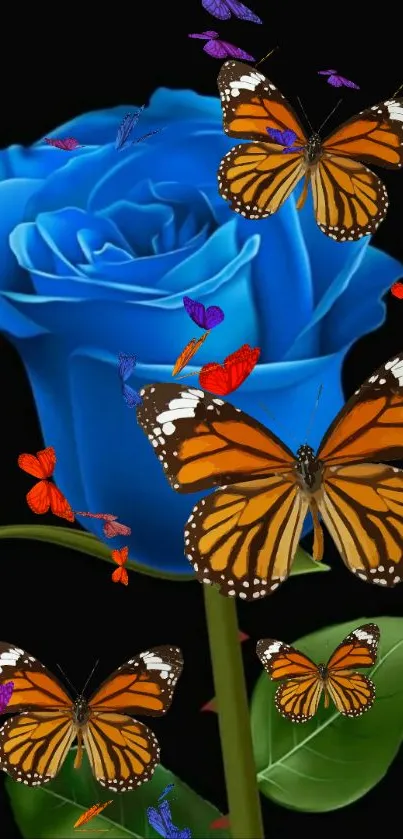 Blue rose with vibrant butterflies on a dark background.