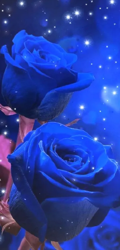 Blue roses with sparkling stars wallpaper