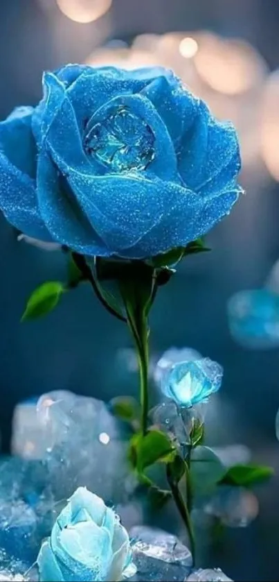 Blue rose with dew, vibrant wallpaper.