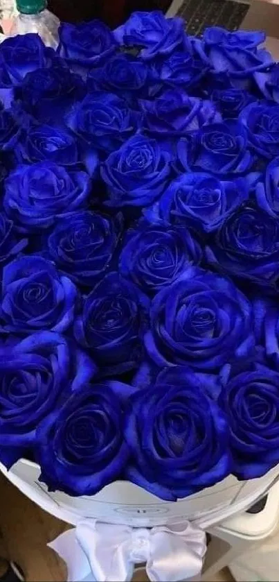 Mobile wallpaper with vibrant blue roses bouquet.