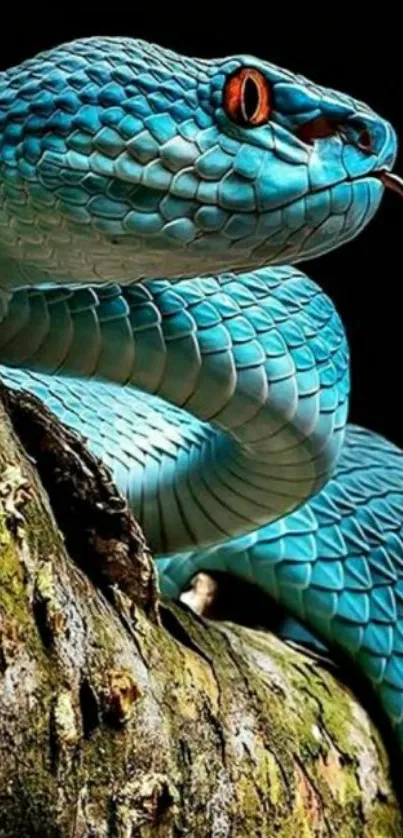 Vibrant teal blue snake on a branch.