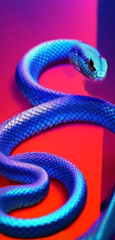 Striking blue snake on vibrant red and pink background.