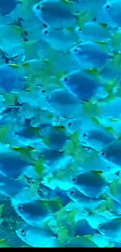 Vibrant blue tropical fish swimming in a serene underwater ocean scene.