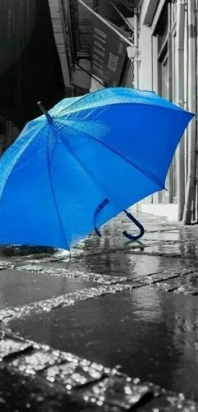 Blue umbrella on wet street with monochrome backdrop.