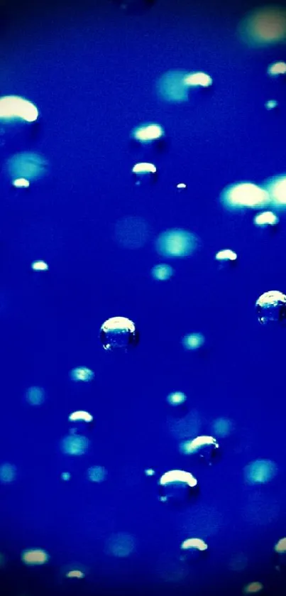 Vibrant mobile wallpaper with luminous blue water bubbles.