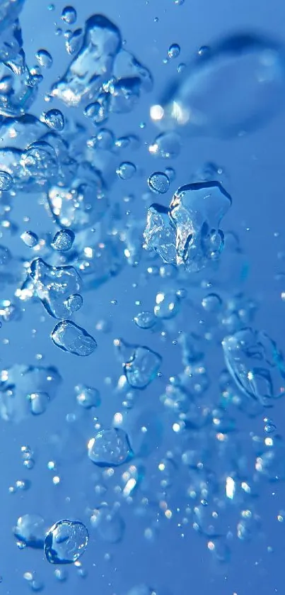 Blue water droplets mobile wallpaper with a serene and refreshing look.