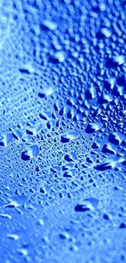 Blue water droplets on a vibrant background, perfect for mobile wallpaper.