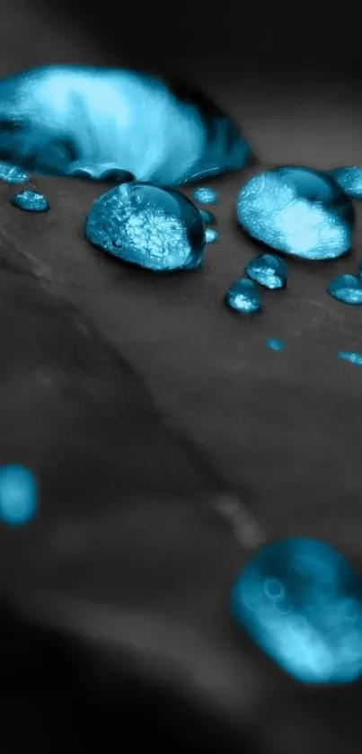 Blue water droplets on a dark background wallpaper.