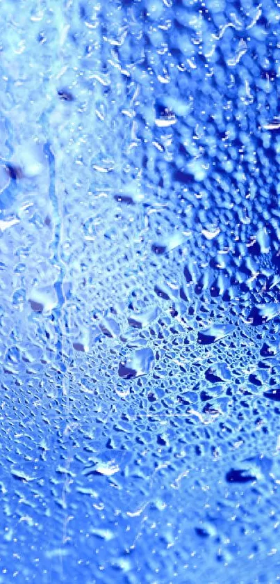 Close-up of blue water droplets on a textured background.