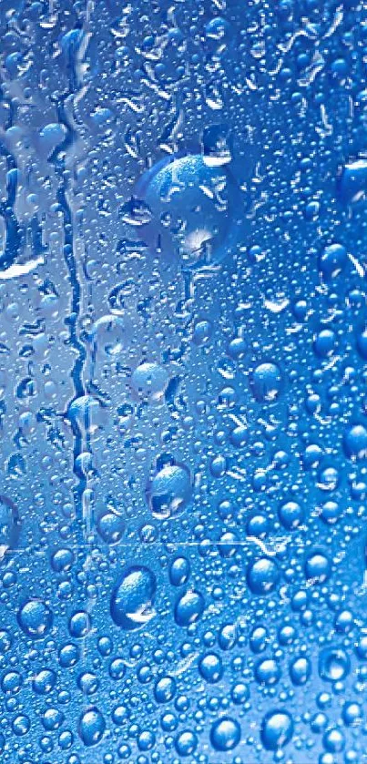 Blue water droplets on a vibrant background.