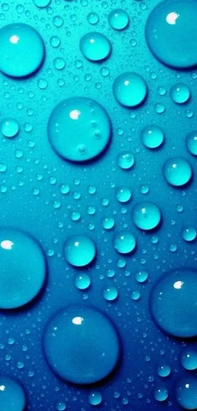 Vibrant blue wallpaper with various water droplets on surface.