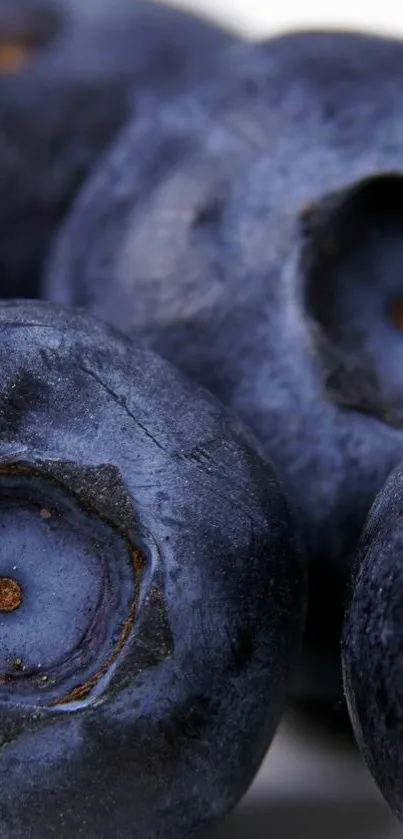 Close-up of vibrant blueberries on display.