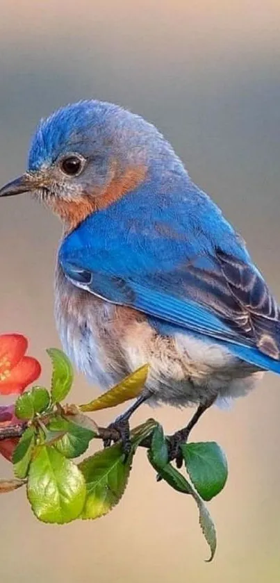 A vibrant bluebird perched on a branch with a flower.