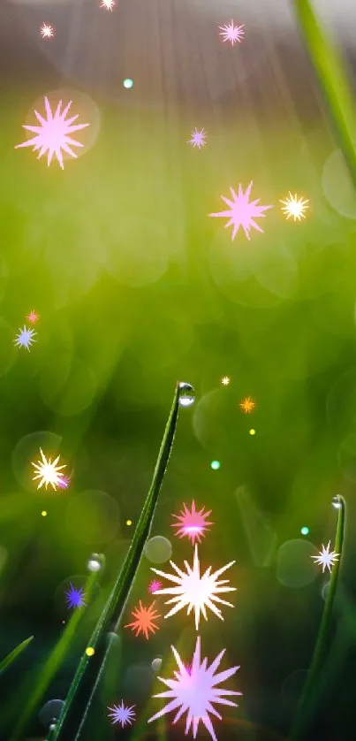 Green bokeh nature wallpaper with abstract stars.