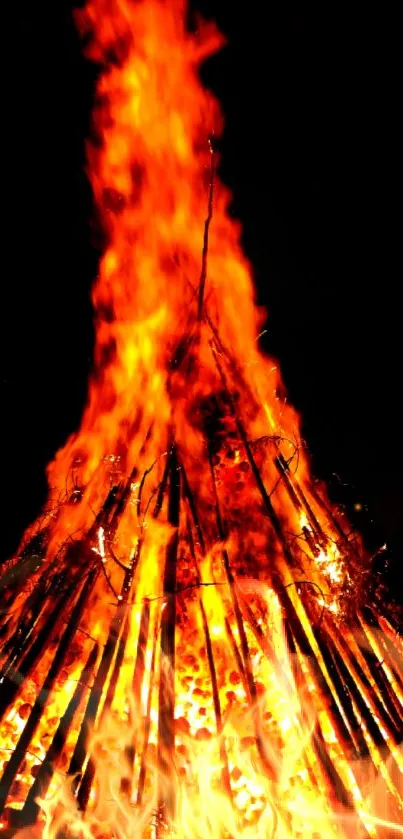 Vibrant orange flames in a bonfire against a dark background.