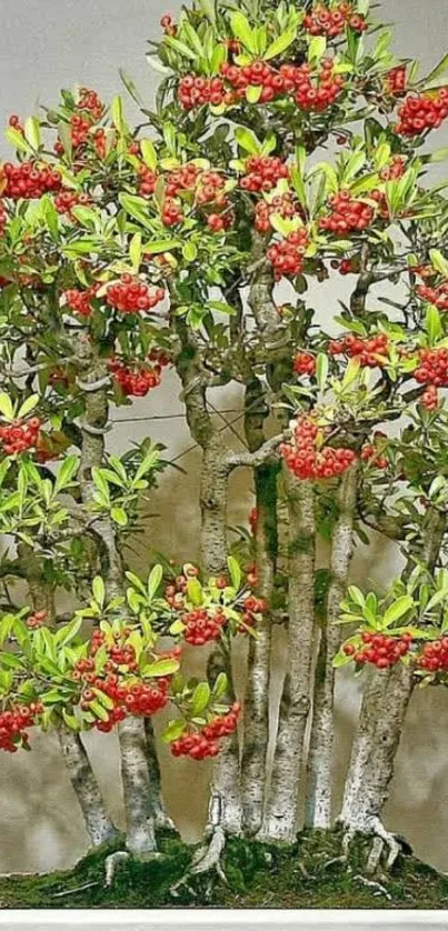 Vibrant bonsai tree with red berries and green leaves.