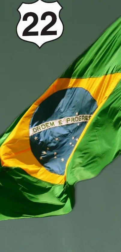 Brazilian flag with 'Ordem e Progresso' on green background.