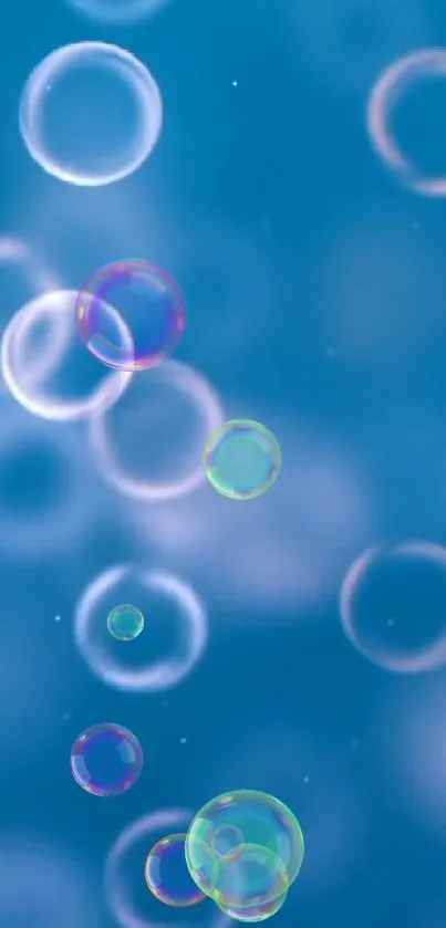 Colorful bubbles floating on a blue background wallpaper.