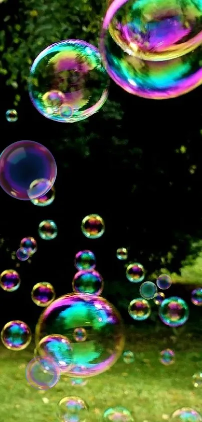 Vibrant colorful bubbles float in a lush green park setting.