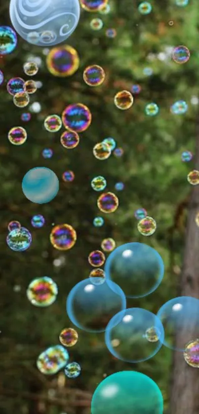 Vibrant bubbles float in a green forest.