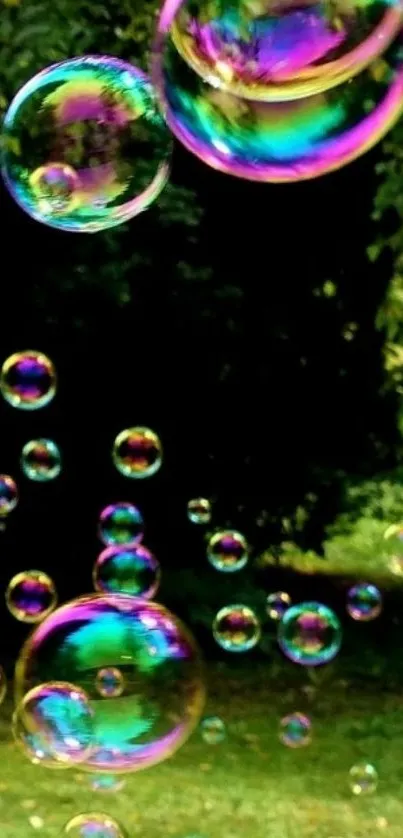 Vibrant iridescent bubbles with lush green background.