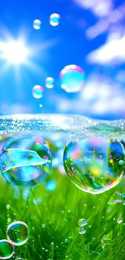 Vibrant nature wallpaper with bubbles, green grass, and a bright blue sky.