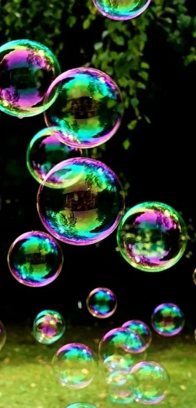 Colorful bubbles with a green background.