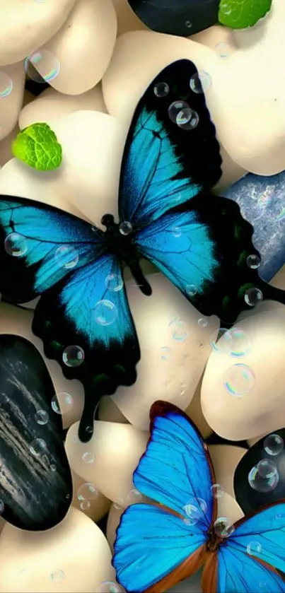 Blue butterflies on stones, perfect for a vibrant mobile wallpaper.