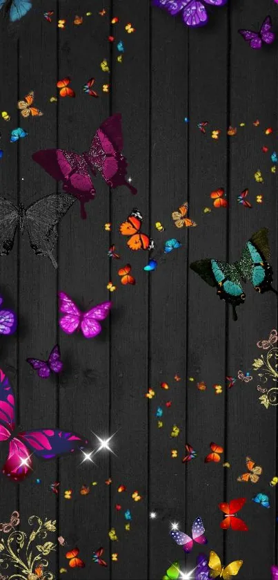 Colorful butterflies on a black background wallpaper.