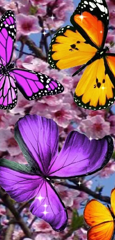 Colorful butterflies with cherry blossoms background.