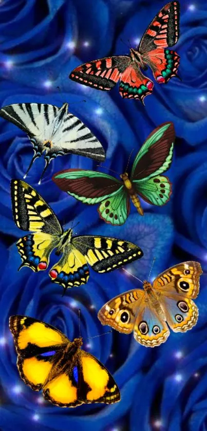 Vibrant butterflies flutter over blue rose background.