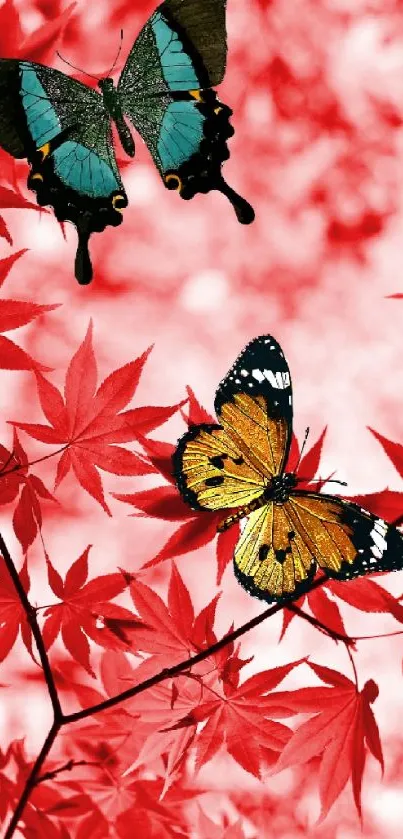 Colorful butterflies among vivid red maple leaves.