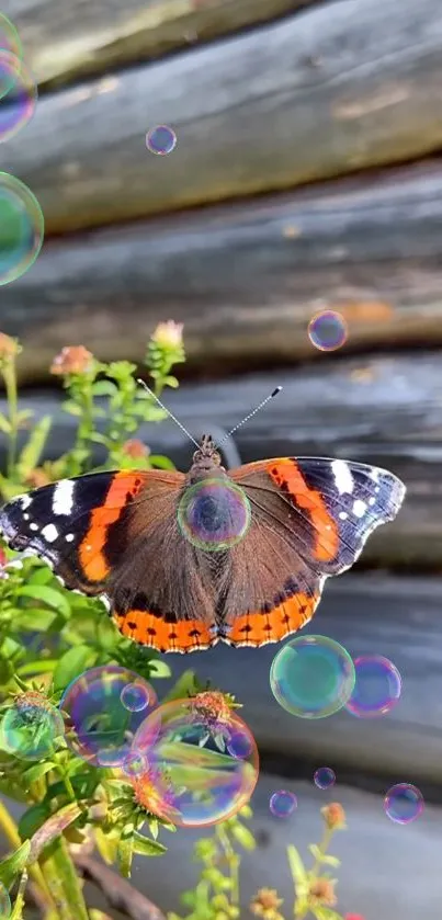 Vibrant butterfly and bubbles on a rustic wooden background.