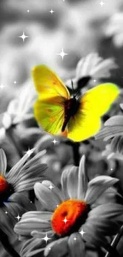 Yellow butterfly on daisies wallpaper with vivid contrast.