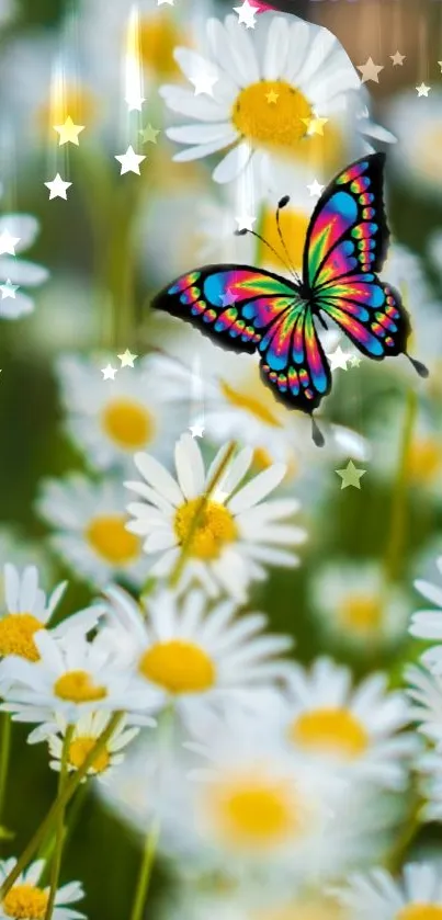 Colorful butterfly on white daisies with star accents.