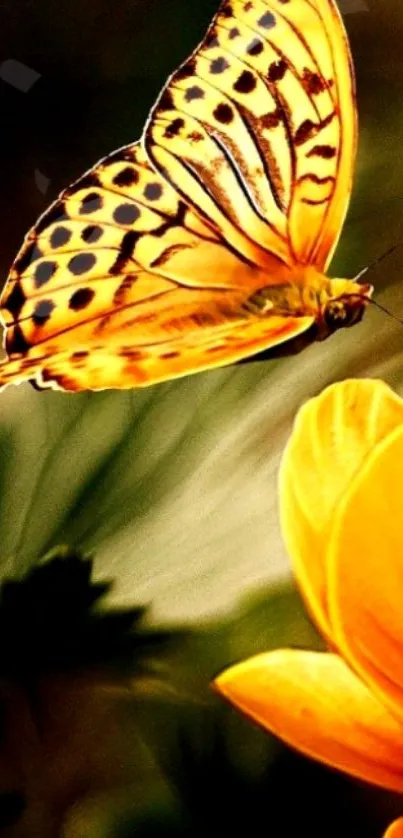 Orange butterfly near vibrant flower on mobile wallpaper.