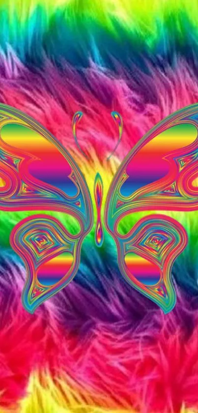 Colorful butterfly wallpaper with rainbow fur background