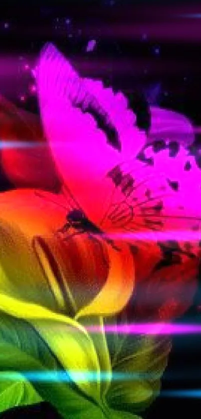 Vibrant butterfly resting on a colorful flower, set against a dark background.