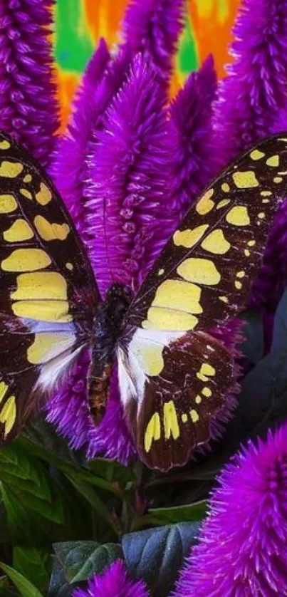 Butterfly on vibrant purple flowers with green and orange background.