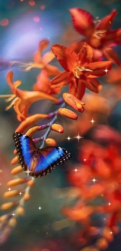 Blue butterfly on vivid orange flowers with dreamy background.