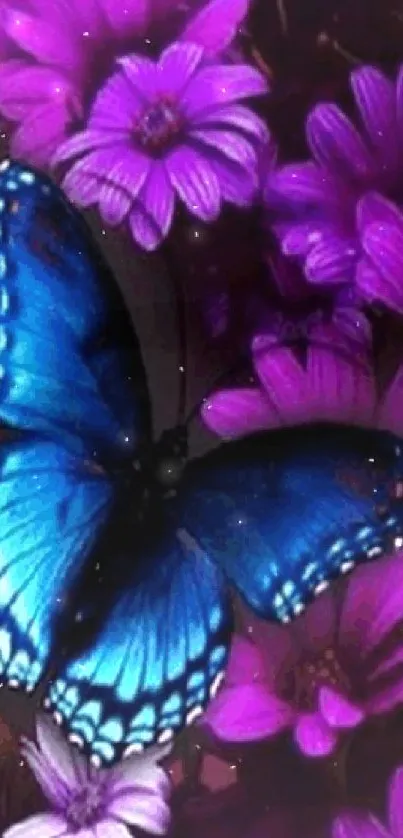 Blue butterfly on purple flowers wallpaper for phones.