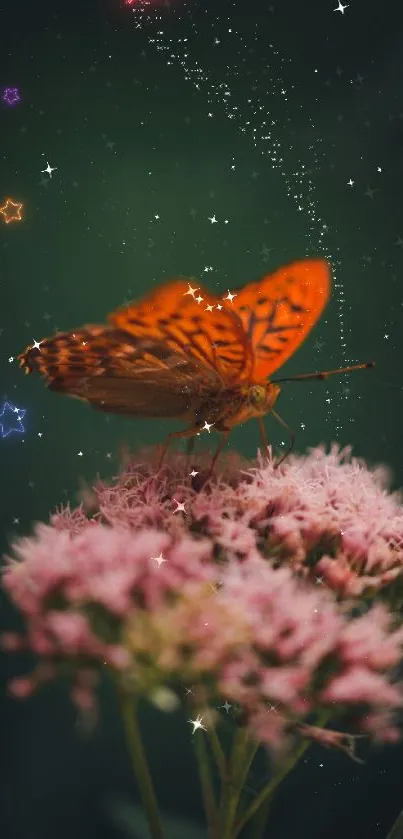 Orange butterfly on pink flowers with stars in dark green background.