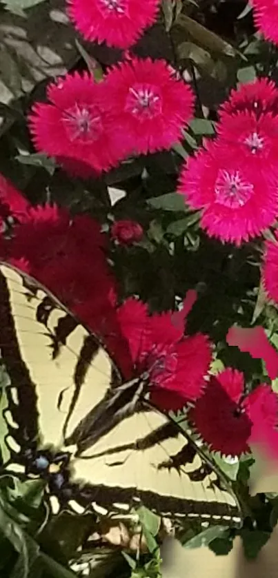 Vibrant yellow butterfly on pink flowers, nature wallpaper.