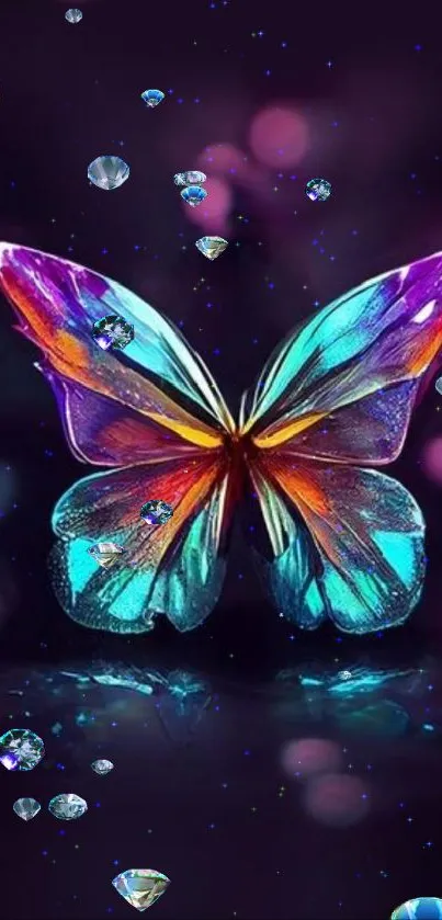 Vibrantly colored butterfly on a dark, mystical backdrop.