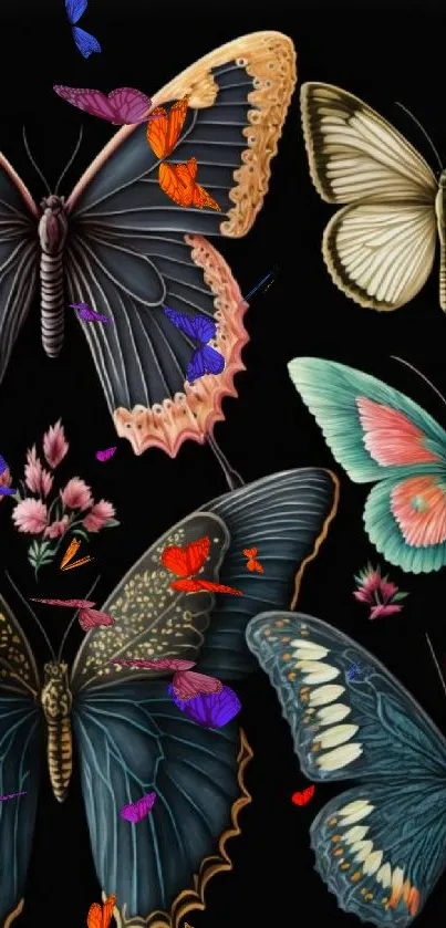 Colorful butterflies art on black background.