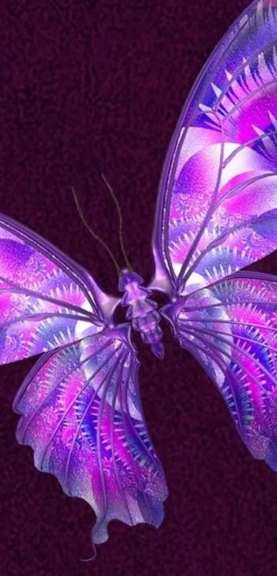 Vibrant purple butterfly with detailed patterns on a textured background.