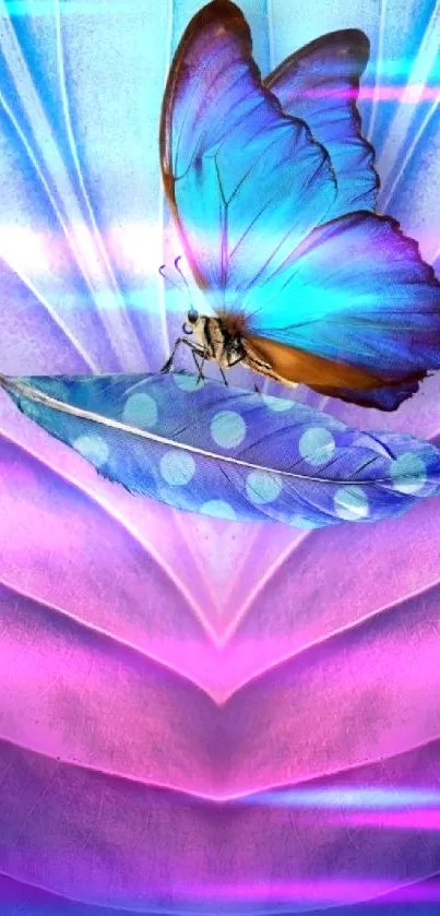 Vibrant butterfly on abstract blue and purple background.