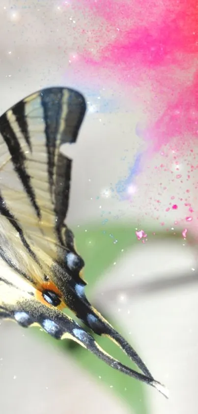 Vibrant butterfly on a colorful abstract background.